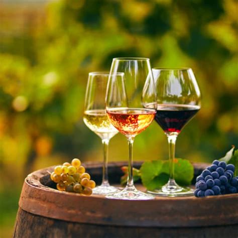 Discovernet The Best Celebrity Wines