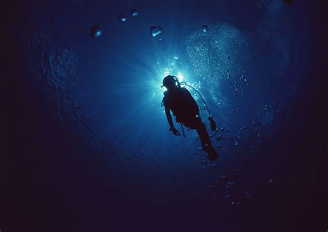Diving Hd Wallpapers Background Images Wallpaper Abyss The Best Porn Website