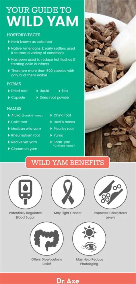 Wild Yam Benefits Uses Supplements Dosage And Side Effects Dr Axe