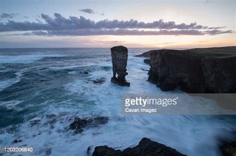 Yesnaby Castle Sea Stack And Coastal Cliffs Orkney Scotland High Res