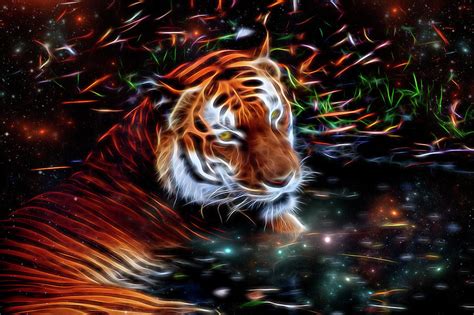 Tiger Galaxy Art Digital Art By Veronika Limonov