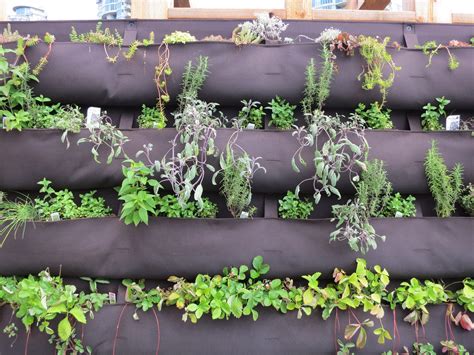Information About Diy Herb Walls Tips On Making Vertical