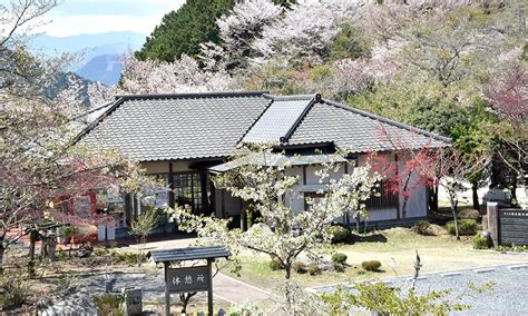 奥多摩霊園 家族永代供養「さくら」東京都奥多摩町の概要・価格・アクセス｜東京の霊園com｜【無料】資料請求