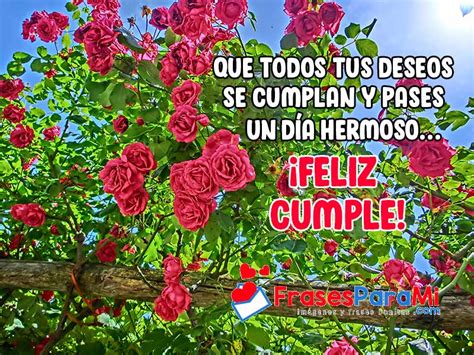 Arriba 74 Images Rosas Para Felicitar Cumpleaños Viaterramx
