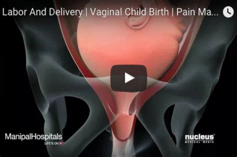 Watch What Happens During A Natural Vaginal Birth