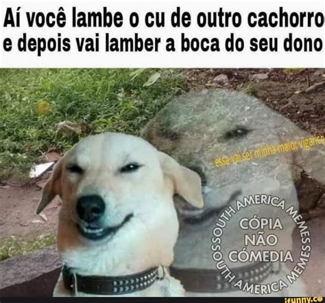 Aí Você Lambe O Cu De Outro Cachorro E Depois Vai Lamber A Boca Do Seu Dono Ifunny Brazil
