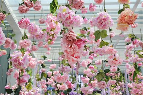 Hang the flowers upside down in small bunches (only six to eight stems) in a cool dry place with good airflow and out of direct sunlight, as sunlight will it's worth experimenting with different types to see which works best. Bunch Of Many Different Flowers Stock Photo - Image of ...