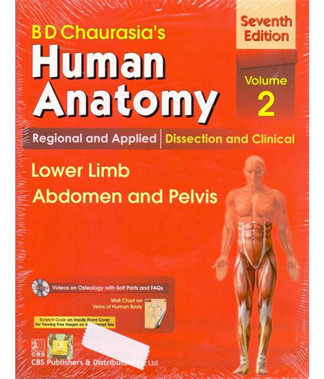 Human Anatomy Paperback English Buy Human Anatomy Paperback English