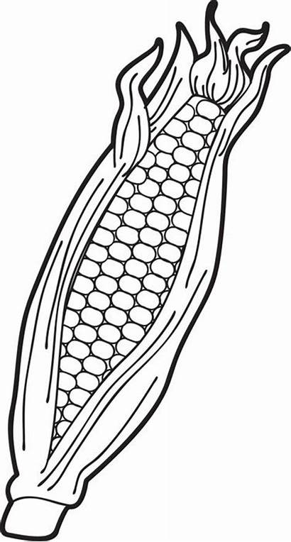 Corn Coloring Clipart Clip Ear Pages Printable