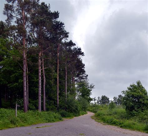 Track Otley Chevin Forest Park © Habiloid Geograph Britain And Ireland