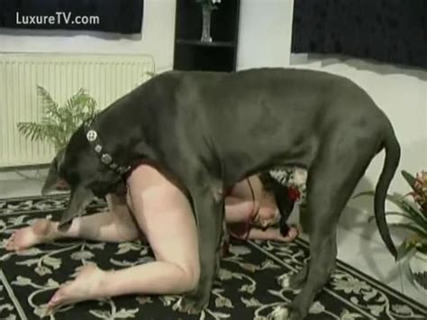 Large Dog And A Corpulent Wife Trading Oral Service Favors