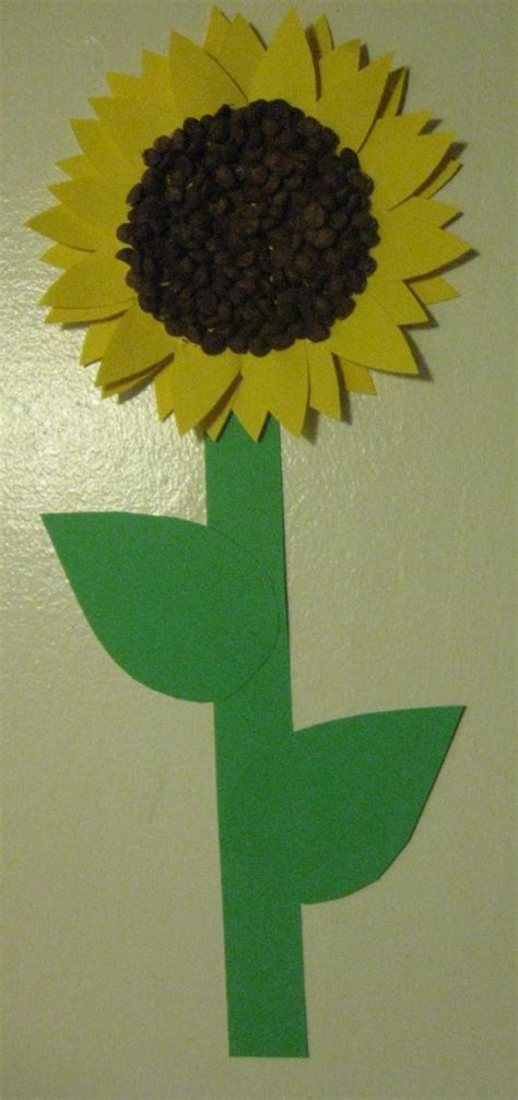 Preschool Craft Sunflowers Free Printable Template Sunflower