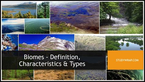 Biomes Definition Characteristics And Types Study Wrap
