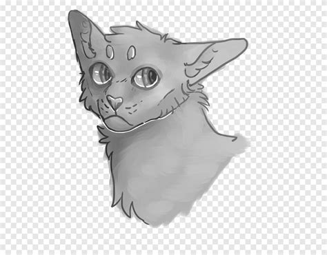 Cat Whiskers Kitten Dog Drawing, painted cat, angle, mammal png | PNGEgg