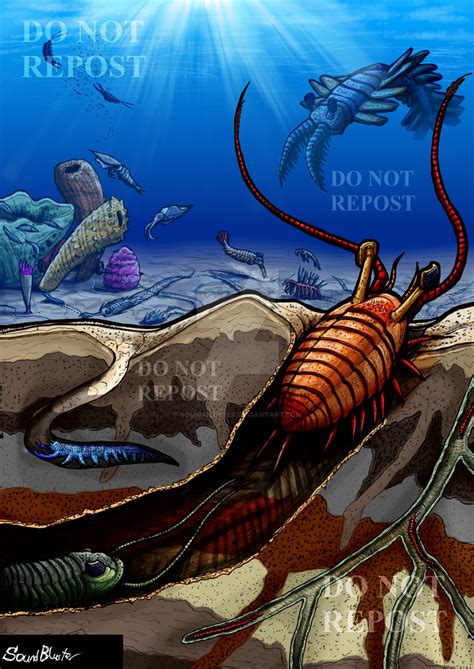 The Cambrian Seas By Soundbluster On Deviantart