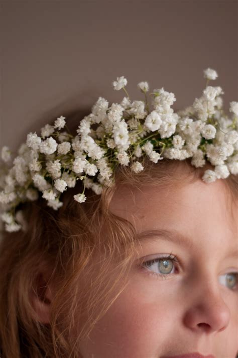 Cover the seeds lightly with ¼ inch of seed starting formula. Baby's Breath Crown • this heart of mine