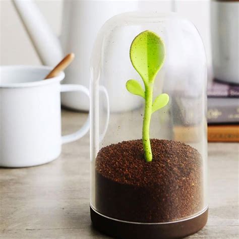Sprout Jar Coffee Tea And Spices Storage Container Terrarium