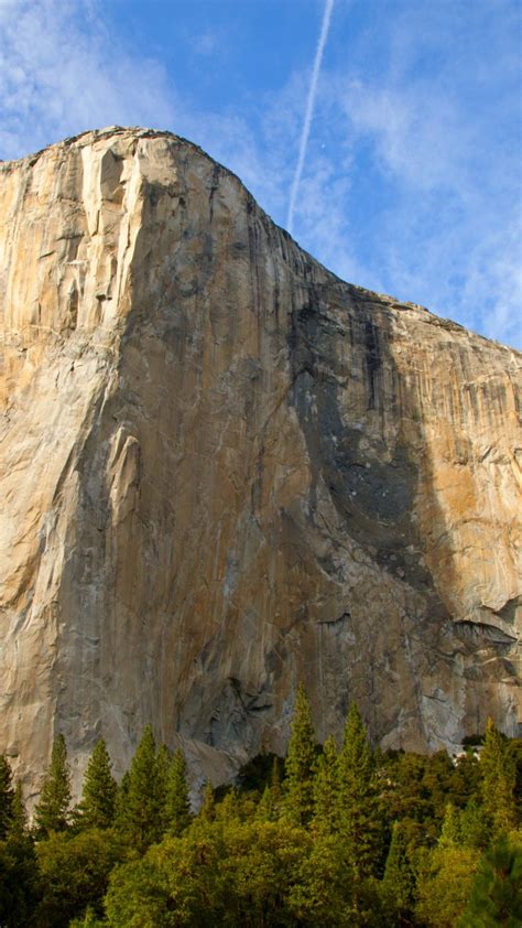 Wallpaper El Capitan 5k 4k Wallpaper Yosemite Hd Forest Osx