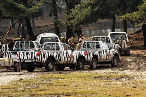 In het gebouw zaten onder meer een restaurant en een zwembad. Tien dieren komen om door brandstichting bij safaripark ...