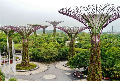 What Are Solar Trees How Do They Compare To Solar Panels