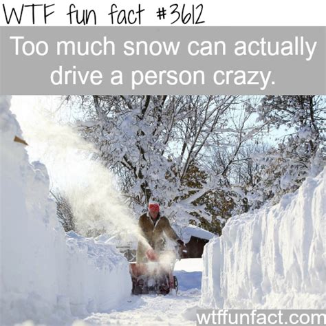 Why Too Much Snow Is Bad For You Wtf Fun Facts