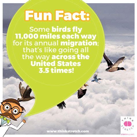 Best Fact Friday Images Friday Facts Knowledge