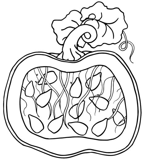 Seeds Coloring Pages - Coloring Home