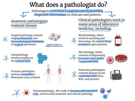 What Does A Pathologist Do Rpathsig