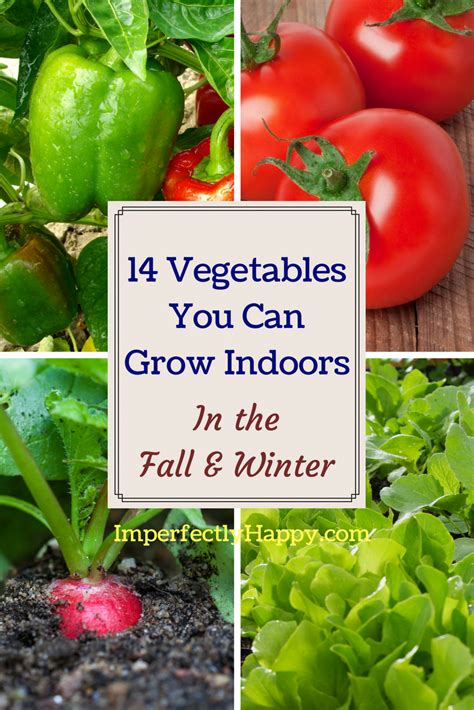 Get easy steps for planting and growing amaryllis, along with a bloom time chart. 14 Vegetables You Can Grow Indoors in the Fall & Winter ...