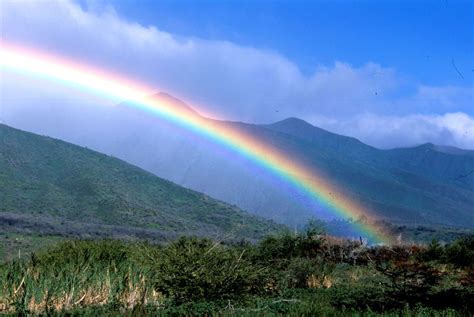 Maui Rainbow Maui Rainbow Maui Rainbow Maui Rainbow Maui