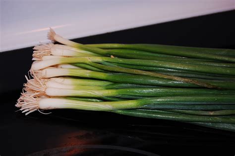 You can grow onions from transplants, sets, or seeds. KendollMade: Growing Your Own Green Onions ... in water!