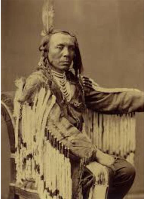 Crow Man Aka King Crow Or Old Crow Crow Nation 1880 Native