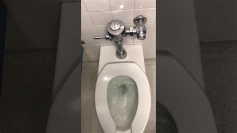 Toilet Flush Youtube