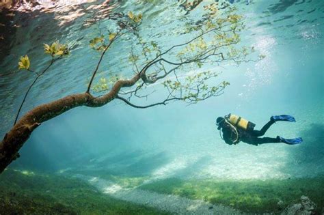 Lets Dive Into Underwater Park Austria
