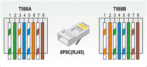 568b pin and pair designation in two eia/tia standards. RJ45 Cat5e cable, How to Crimp It?