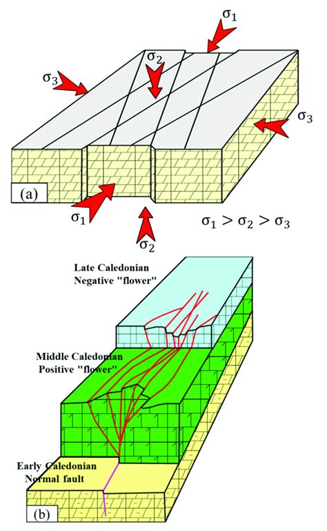 Formation Mechanism Pattern Of Strike Slip Fault Modified From 58