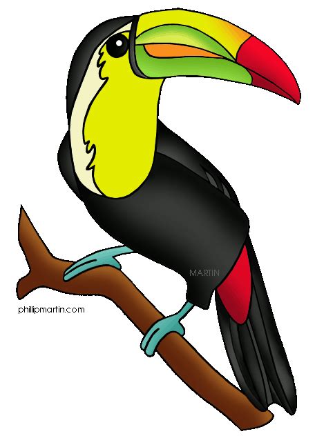 Rainforest Clipart 20 Free Cliparts Download Images On