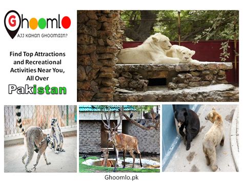 Karachi Zoo In Colombo Pakistan Ghoomlopk