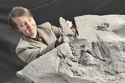 ‘superbly Preserved Pterosaur Fossil Unearthed In Scotland Borneo Bulletin Online