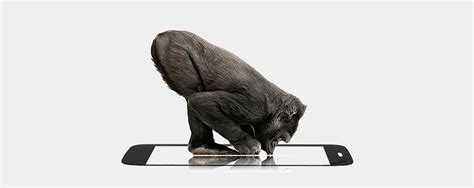 Launched in 2016, gorilla® glass 5 took tough to new heights. Corning© Gorilla© Glass 3