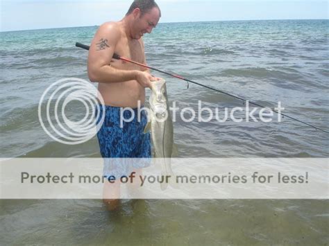 My First Big Snook Boatless Fishing Forum Reports Info