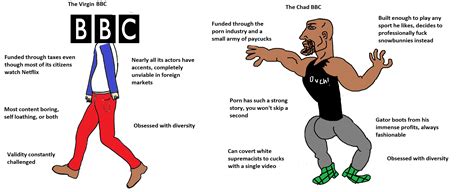 the virgin bbc vs the chad bbc r virginvschad
