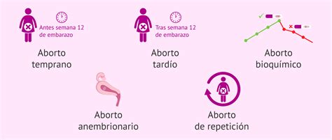 Qué es el aborto espontáneo Por qué se produce Tipos y síntomas