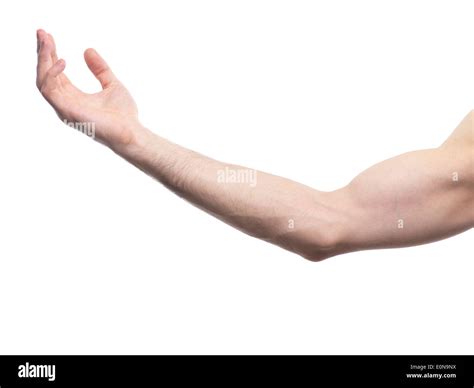 Extended Male Arm With Open Palm Isolated On White Background Stock