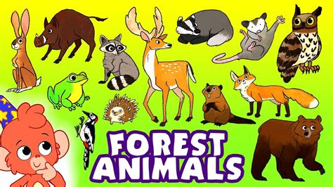 Learn Animals For Kids Wild Forest Animals Names And Sounds For
