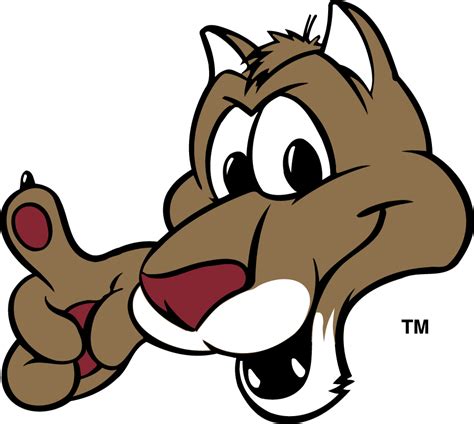 college of charleston cougars mascot logo ncaa division i a c ncaa a c chris creamer s
