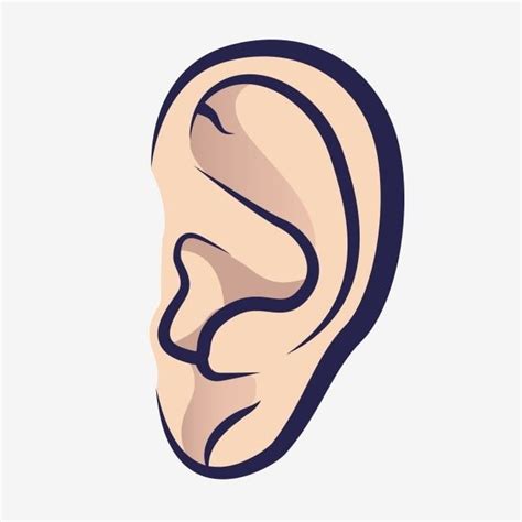 Kartun Tangan Ditarik Telinga Manusia Organ Tubuh Mendengar Clipart