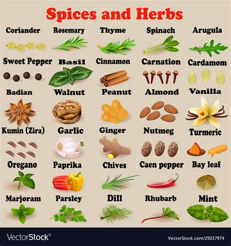 Culinary Herbs And Spices Discount Buy Save Jlcatj Gob Mx