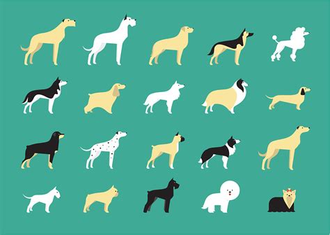 Dog Breeds Icons On Behance