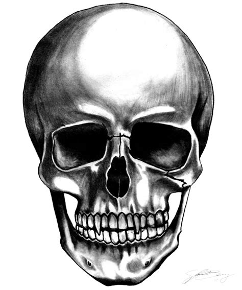 Download High Quality Skull Transparent Background